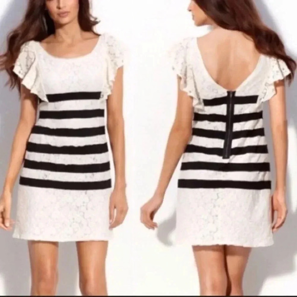 BCBGMaxAzria Renata Ivory Combo Dress Stripe Lace Size 6 - Picture 5 of 16